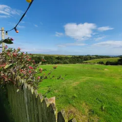 Onchan Carnival and Fair (Seasonal) - Onchan