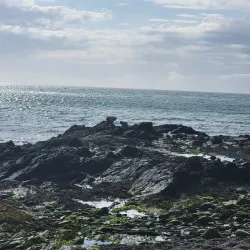 Port Erin Beach - Port Erin