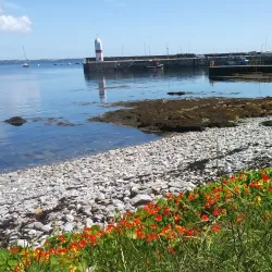 Port St Mary Market - Port Saint Mary