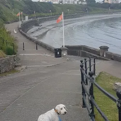 Port St Mary Market - Port Saint Mary