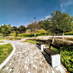 Afula Park - Afula