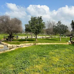 Ein Harod National Park - Afula