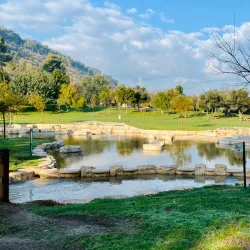 Ein Harod National Park - Afula