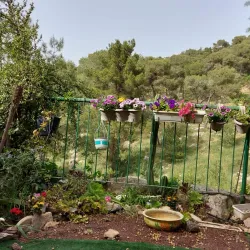 Jezreel Valley - Afula