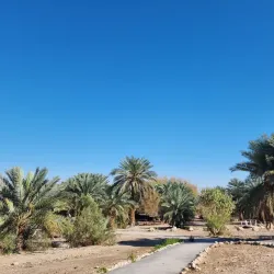 Einot Tzukim Nature Reserve - Ariel