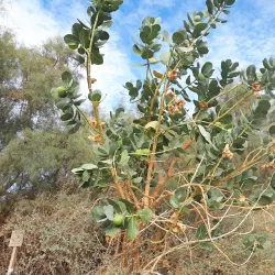 Einot Tzukim Nature Reserve - Ariel