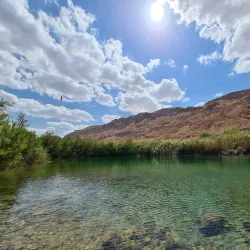 Einot Tzukim Nature Reserve - Ariel