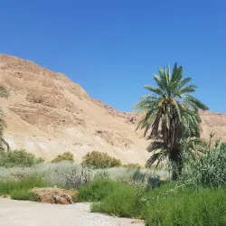 Einot Tzukim Nature Reserve - Ariel