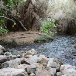 Einot Tzukim Nature Reserve - Ariel