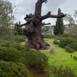 Museum of Ariel - Ariel