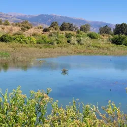 Nahal Qana Stream - Ariel