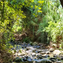 Nahal Qana Stream - Ariel