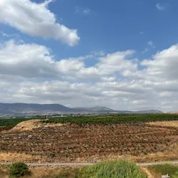 Nahal Qana Stream - Ariel