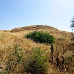 Tel Tzafit (Tel Sade) - Ariel