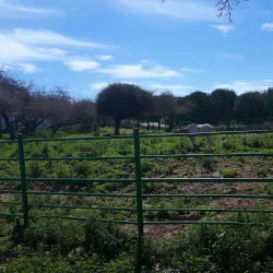Lachish Park - Ashdod