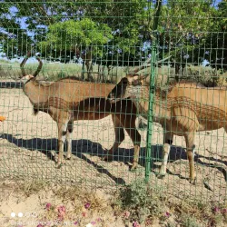 Lachish Park - Ashdod