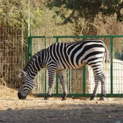 Lachish Park - Ashdod