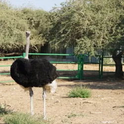 Lachish Park - Ashdod