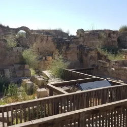 The Crusader Fortress - Ashkelon