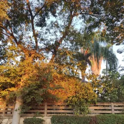 Cultural Events and Festivals - Bat Hefer (Bat Heffer)