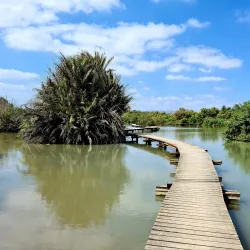 Ein Afek Nature Reserve - Bat Hefer (Bat Heffer)