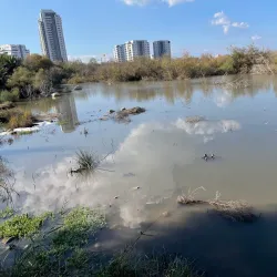 Ein Afek Nature Reserve - Bat Hefer (Bat Heffer)