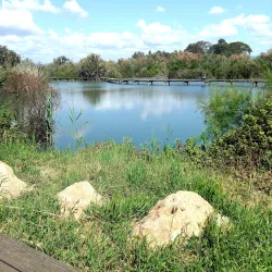 Ein Afek Nature Reserve - Bat Hefer (Bat Heffer)