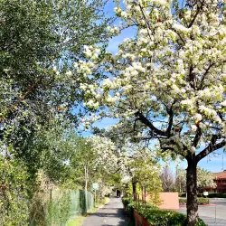 Hiking and Cycling Trails - Bat Hefer (Bat Heffer)