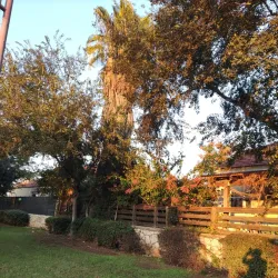 Historical Villages and Communities - Bat Hefer (Bat Heffer)