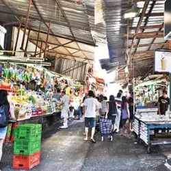 Local Markets and Artisan Shops - Bat Hefer (Bat Heffer)