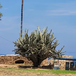 Nearby Coastal Attractions - Bat Hefer (Bat Heffer)