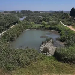 Park Afek (Afeq National Park) - Bat Hefer (Bat Heffer)