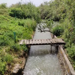 Park Afek (Afeq National Park) - Bat Hefer (Bat Heffer)