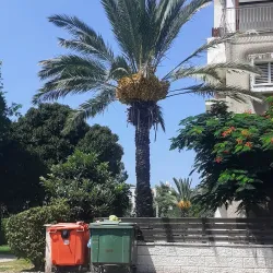 Kiryat Yosef Neighborhood - Bat Yam