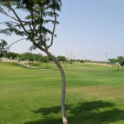 Be'er Sheva River Park - Beersheba