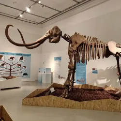 Carasso Science Park - Beersheba