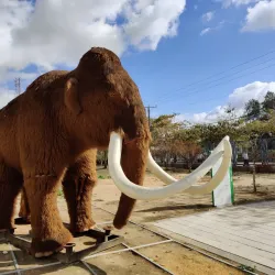 Carasso Science Park - Beersheba