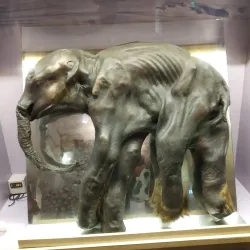 Carasso Science Park - Beersheba