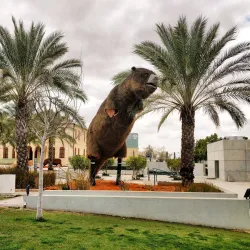 Carasso Science Park - Beersheba