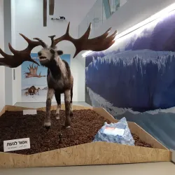 Carasso Science Park - Beersheba