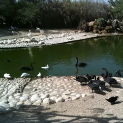 Negev Zoo - Beersheba