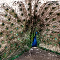 Negev Zoo - Beersheba