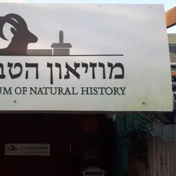 Beit Shemesh Museum - Beit Shemesh
