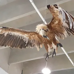 Beit Shemesh Museum - Beit Shemesh