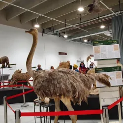 Beit Shemesh Museum - Beit Shemesh