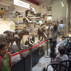 Beit Shemesh Museum - Beit Shemesh