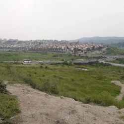 Beit Shemesh Synagogue - Beit Shemesh