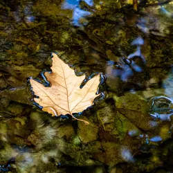 Ein Hemed National Park - Beit Shemesh