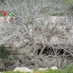 Hurvat Midras Ruins - Beit Shemesh
