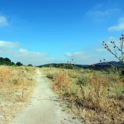 Hurvat Midras Ruins - Beit Shemesh